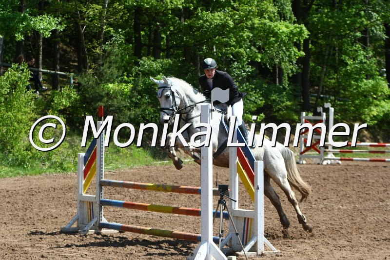 104M8238_SpringWB E.JPG